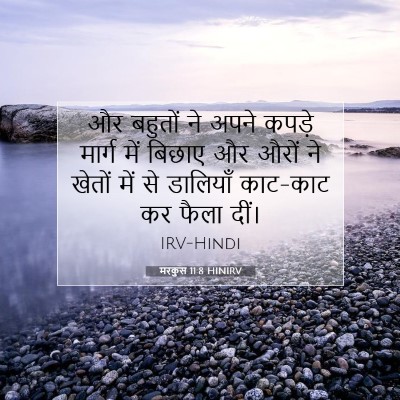 मरकुस 11:8 बाइबल आयत की व्याख्या