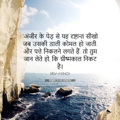 मरकुस 13:28 बाइबल आयत की व्याख्या