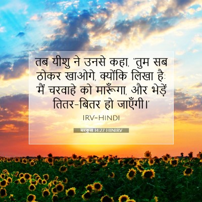 मरकुस 14:27 बाइबल आयत की व्याख्या