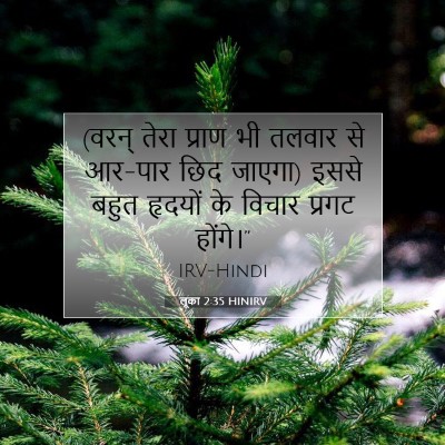 लूका 2:35 बाइबल आयत की व्याख्या