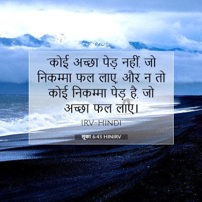 लूका 6:43 HINIRV बाइबल आयत इमेज