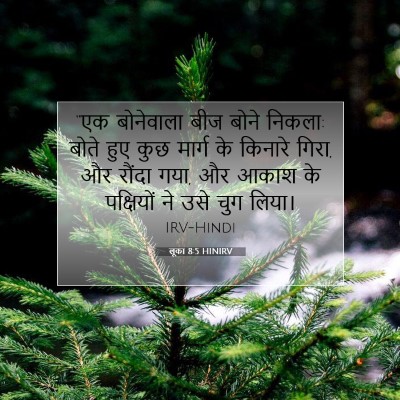 लूका 8:5 बाइबल आयत की व्याख्या