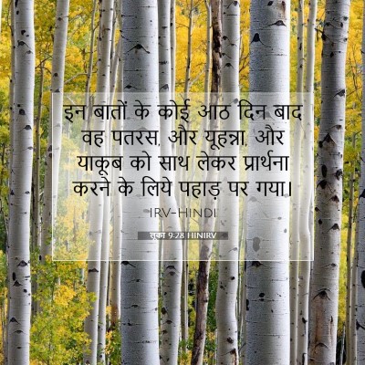 लूका 9:28 HINIRV बाइबल आयत इमेज
