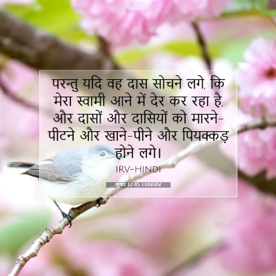 लूका 12:45 HINIRV बाइबल आयत इमेज