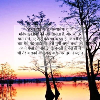 लूका 13:34 HINIRV बाइबल आयत इमेज