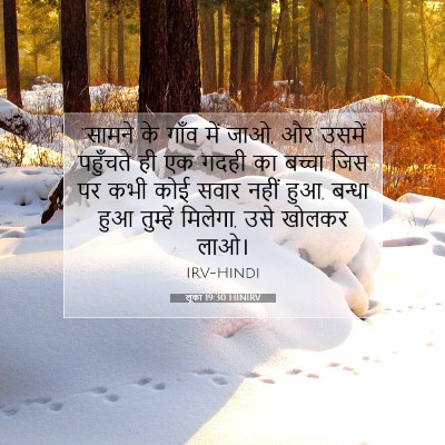 लूका 19:30 HINIRV बाइबल आयत इमेज