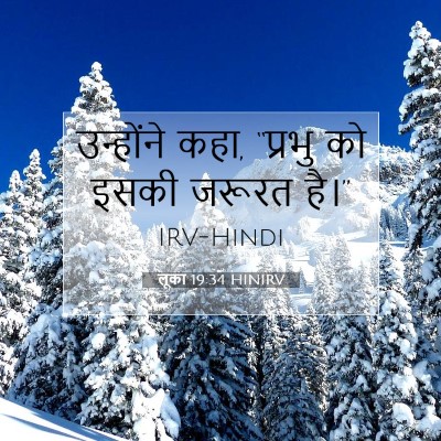 लूका 19:34 बाइबल आयत की व्याख्या