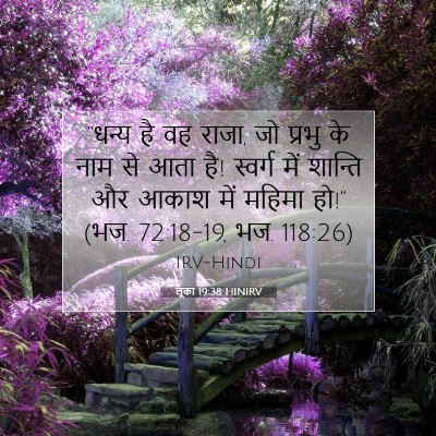लूका 19:38 HINIRV बाइबल आयत इमेज