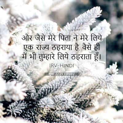लूका 22:29 बाइबल आयत की व्याख्या