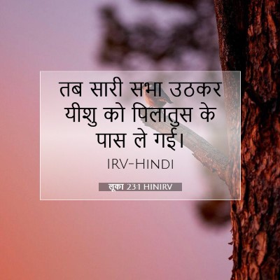 लूका 23:1 HINIRV बाइबल आयत इमेज