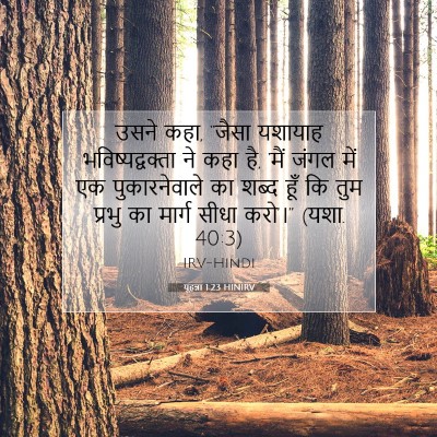 यूहन्ना 1:23 बाइबल आयत की व्याख्या