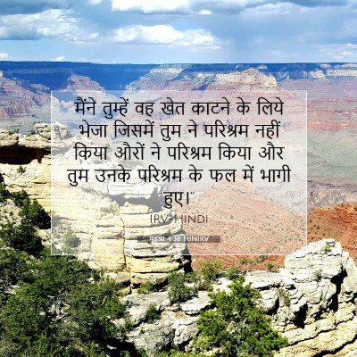 यूहन्ना 4:38 बाइबल आयत की व्याख्या
