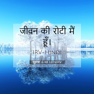 यूहन्ना 6:48 बाइबल आयत की व्याख्या