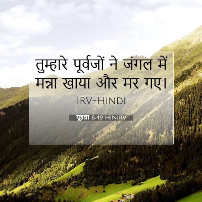 यूहन्ना 6:49 बाइबल आयत की व्याख्या
