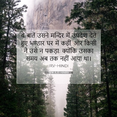 यूहन्ना 8:20 HINIRV बाइबल आयत इमेज