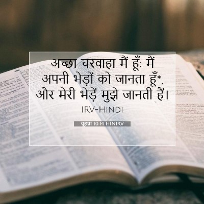 यूहन्ना 10:14 HINIRV बाइबल आयत इमेज