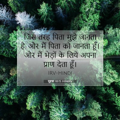 यूहन्ना 10:15 HINIRV बाइबल आयत इमेज