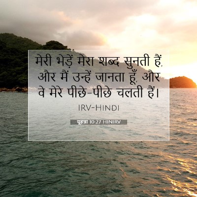 यूहन्ना 10:27 HINIRV बाइबल आयत इमेज