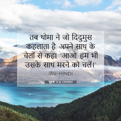 यूहन्ना 11:16 बाइबल आयत की व्याख्या