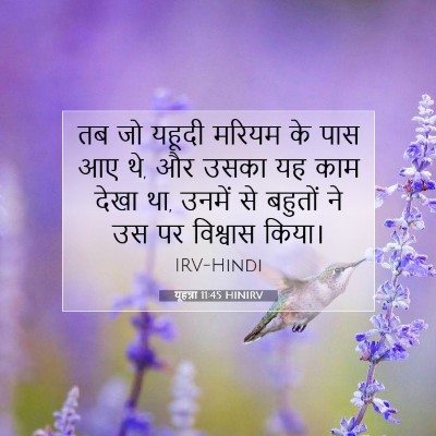 यूहन्ना 11:45 बाइबल आयत की व्याख्या