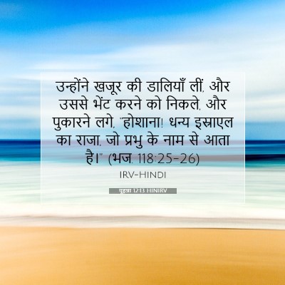 यूहन्ना 12:13 HINIRV बाइबल आयत इमेज