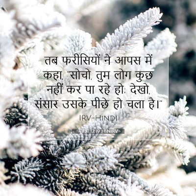 यूहन्ना 12:19 HINIRV बाइबल आयत इमेज