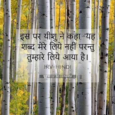 यूहन्ना 12:30 बाइबल आयत की व्याख्या