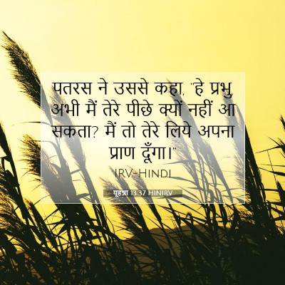 यूहन्ना 13:37 HINIRV बाइबल आयत इमेज