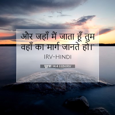 यूहन्ना 14:4 HINIRV बाइबल आयत इमेज
