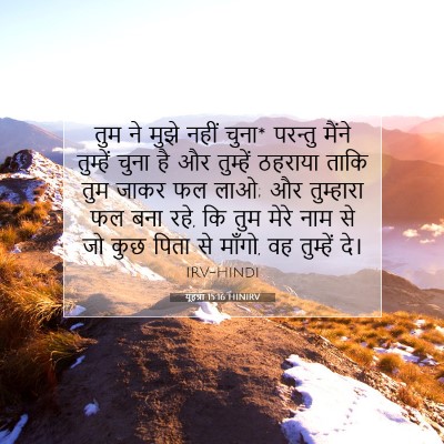 यूहन्ना 15:16 HINIRV बाइबल आयत इमेज