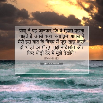 यूहन्ना 16:19 बाइबल आयत की व्याख्या