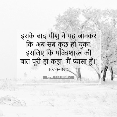 यूहन्ना 19:28 HINIRV बाइबल आयत इमेज