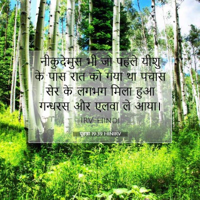 यूहन्ना 19:39 HINIRV बाइबल आयत इमेज