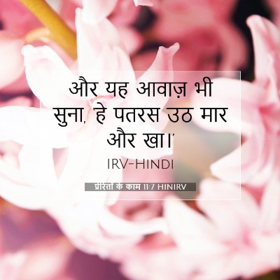 प्रेरितों के काम 11:7 बाइबल आयत की व्याख्या