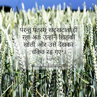 प्रेरितों के काम 12:16 बाइबल आयत की व्याख्या