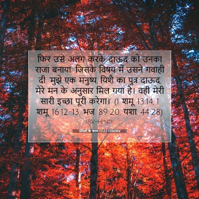 प्रेरितों के काम 13:22 HINIRV बाइबल आयत इमेज