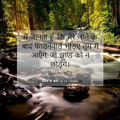 प्रेरितों के काम 20:29 HINIRV बाइबल आयत इमेज