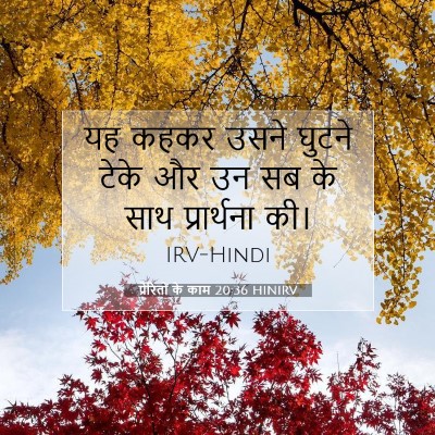 प्रेरितों के काम 20:36 बाइबल आयत की व्याख्या