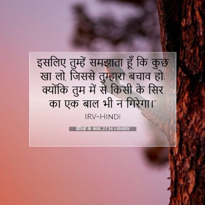 प्रेरितों के काम 27:34 बाइबल आयत की व्याख्या
