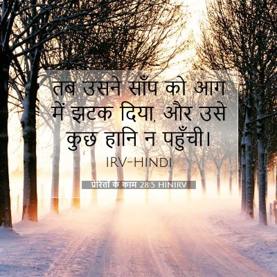 प्रेरितों के काम 28:5 HINIRV बाइबल आयत इमेज