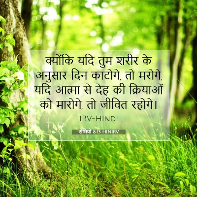 रोमियों 8:13 HINIRV बाइबल आयत इमेज
