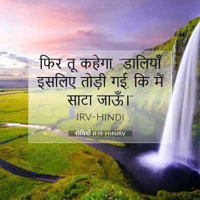 रोमियों 11:19 HINIRV बाइबल आयत इमेज