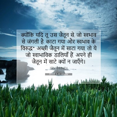 रोमियों 11:24 HINIRV बाइबल आयत इमेज
