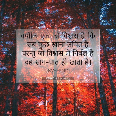 रोमियों 14:2 HINIRV बाइबल आयत इमेज