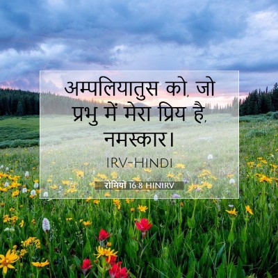 रोमियों 16:8 HINIRV बाइबल आयत इमेज