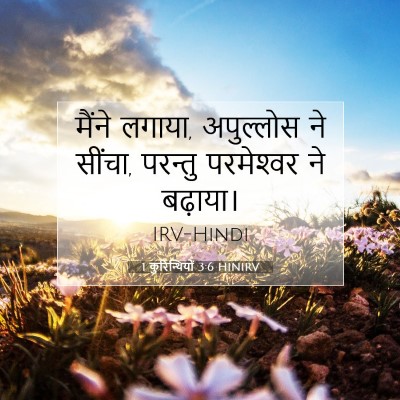 1 कुरिन्थियों 3:6 HINIRV बाइबल आयत इमेज