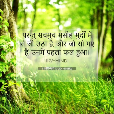 1 कुरिन्थियों 15:20 HINIRV बाइबल आयत इमेज
