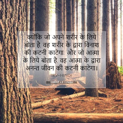 गलातियों 6:8 HINIRV बाइबल आयत इमेज