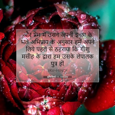 इफिसियों 1:5 बाइबल आयत की व्याख्या