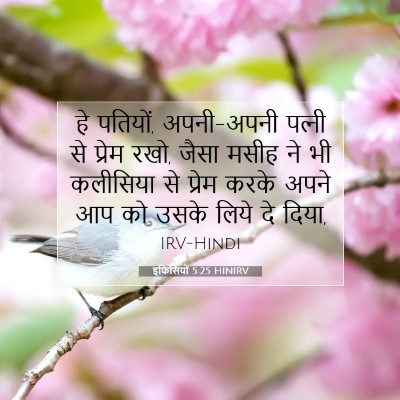 इफिसियों 5:25 HINIRV बाइबल आयत इमेज